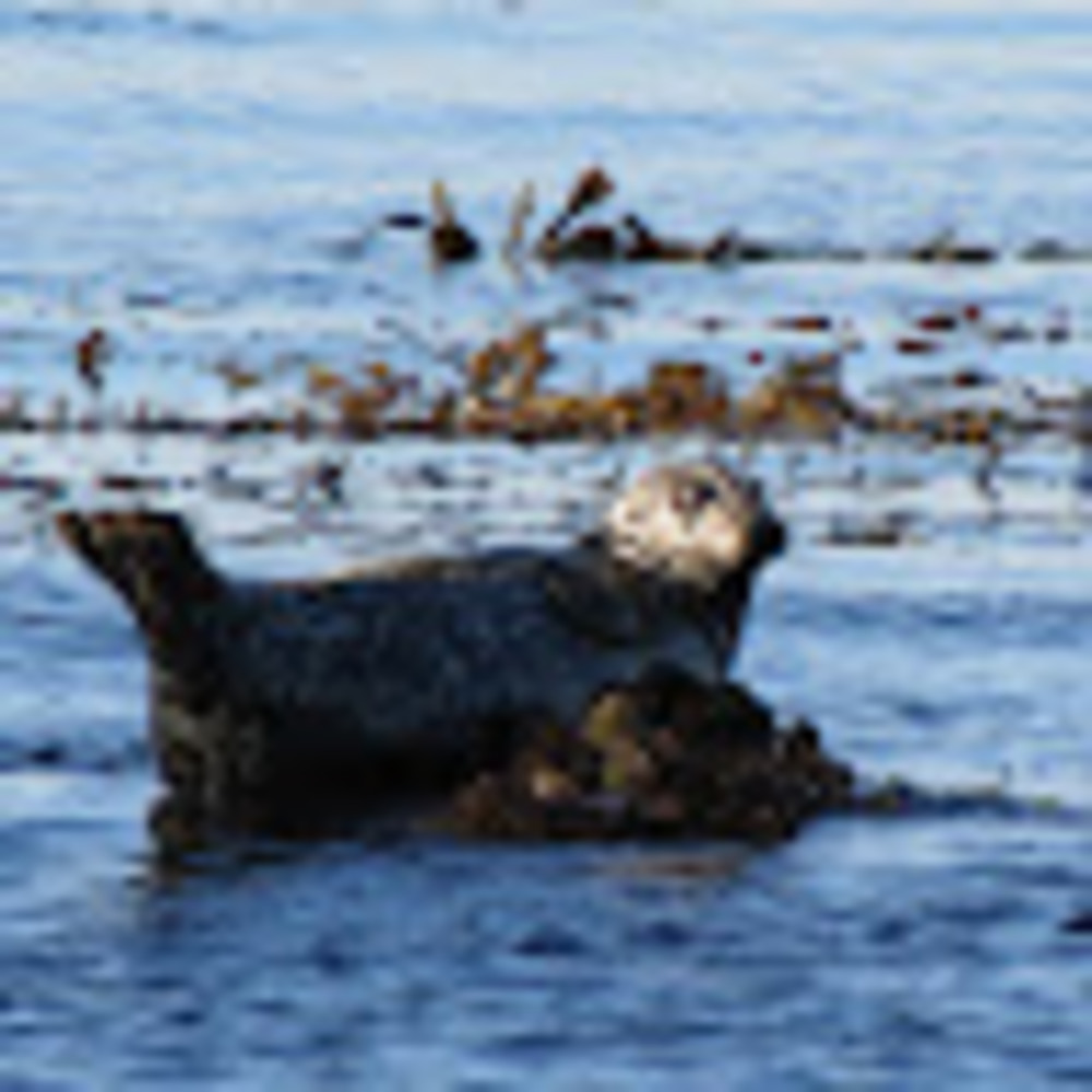 Meet your Posher, Kaitlin